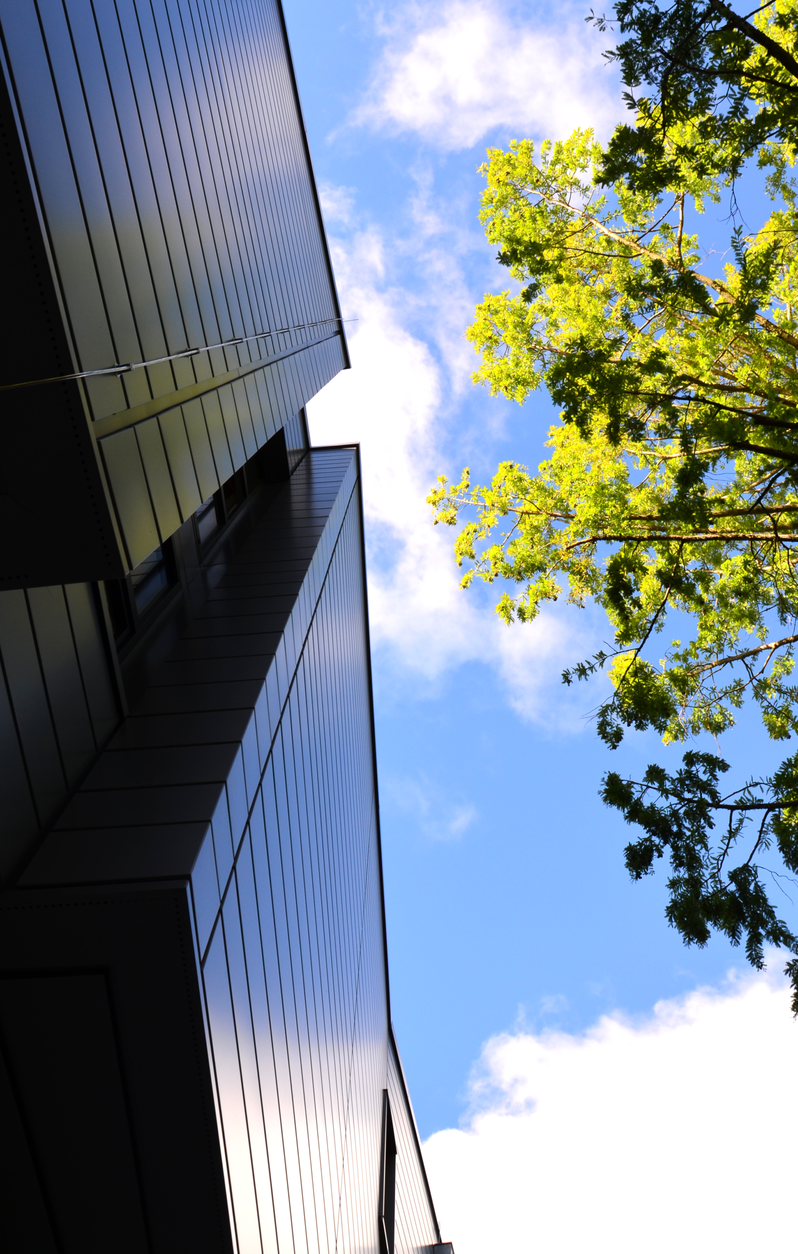 Blick auf die Metallfassade von 023 MALT mit leuchtenden Baumkronen und blauem Himmel.